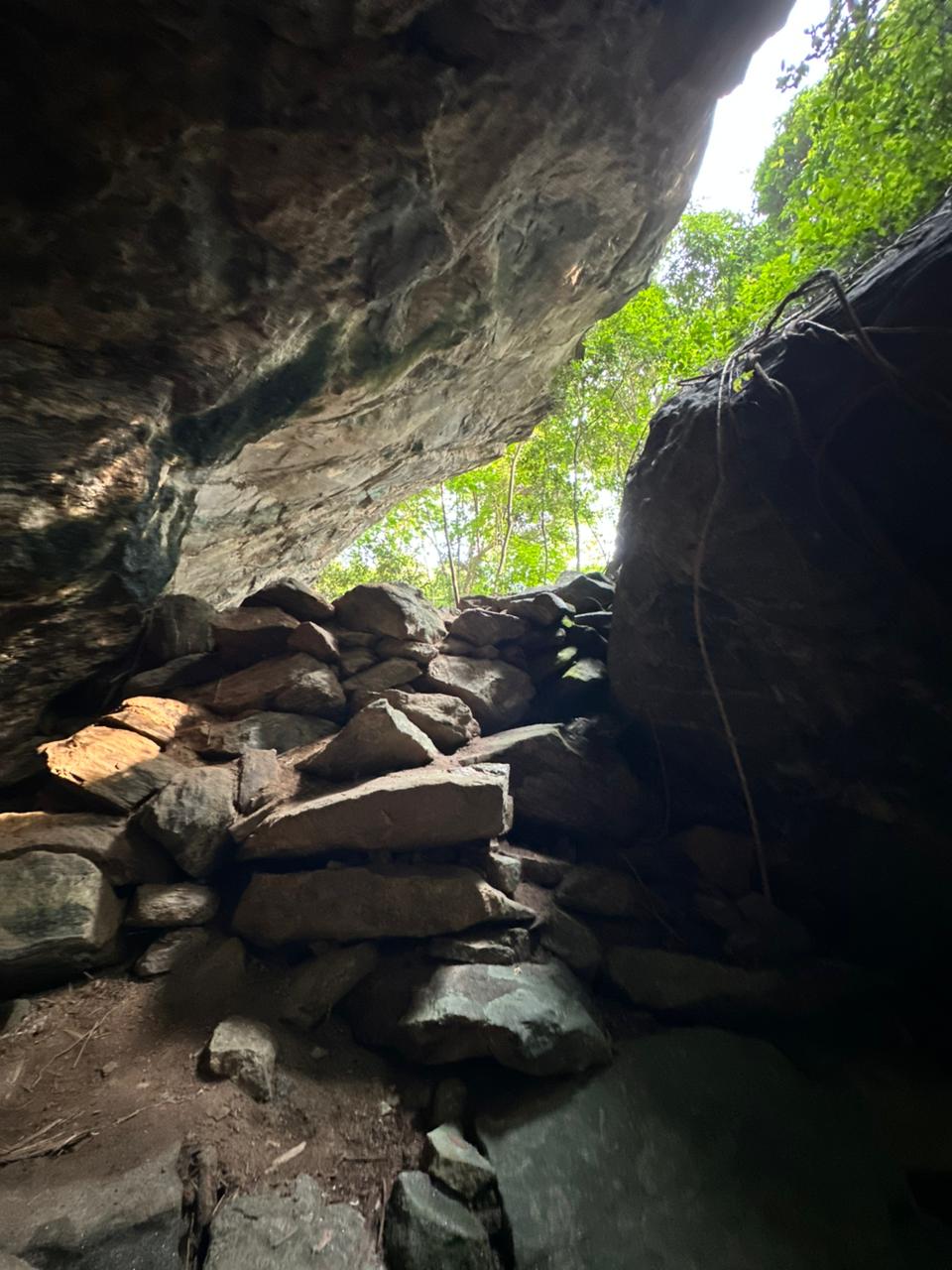 Danigala Gallery Image